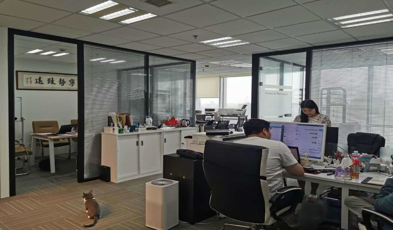 凯德龙之梦（闵行）莘庄 凯德龙之梦（闵行） 112平米 精装修