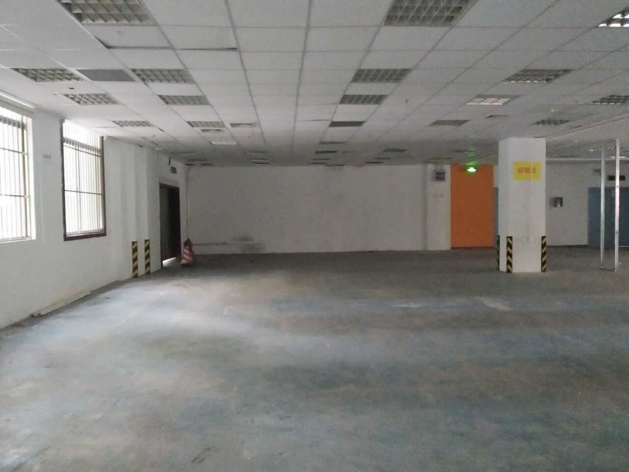 徐汇 凤凰园 286平米 精装修