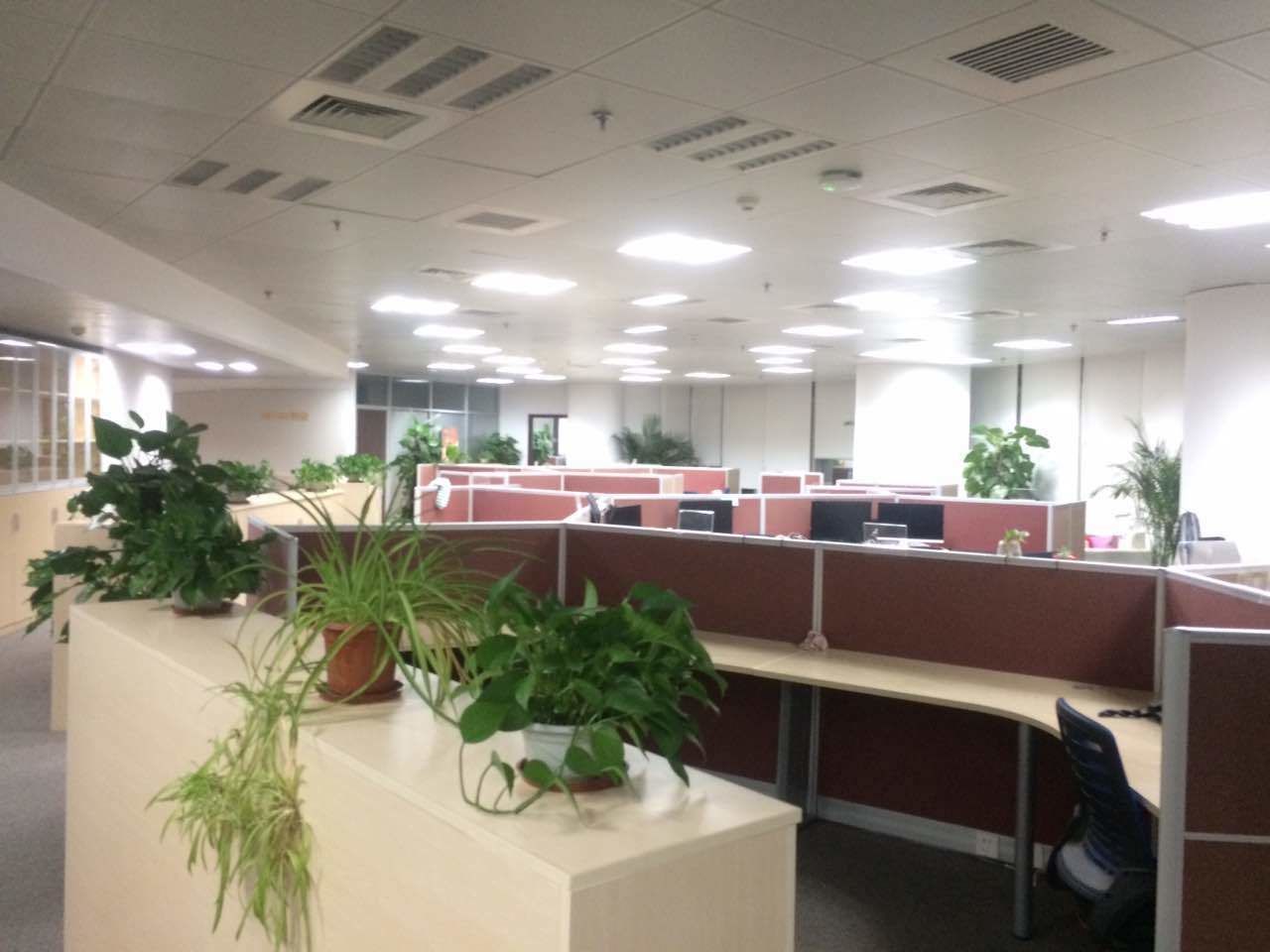 八佰伴地铁口，新梅联合1058平高区整层出租，景观好，欢迎预约