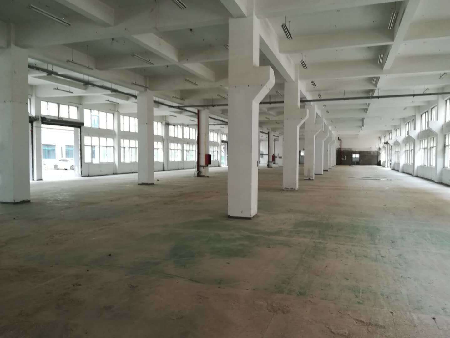 康桥东路1369号东门145平米办公室出租_1.80元/m²/天