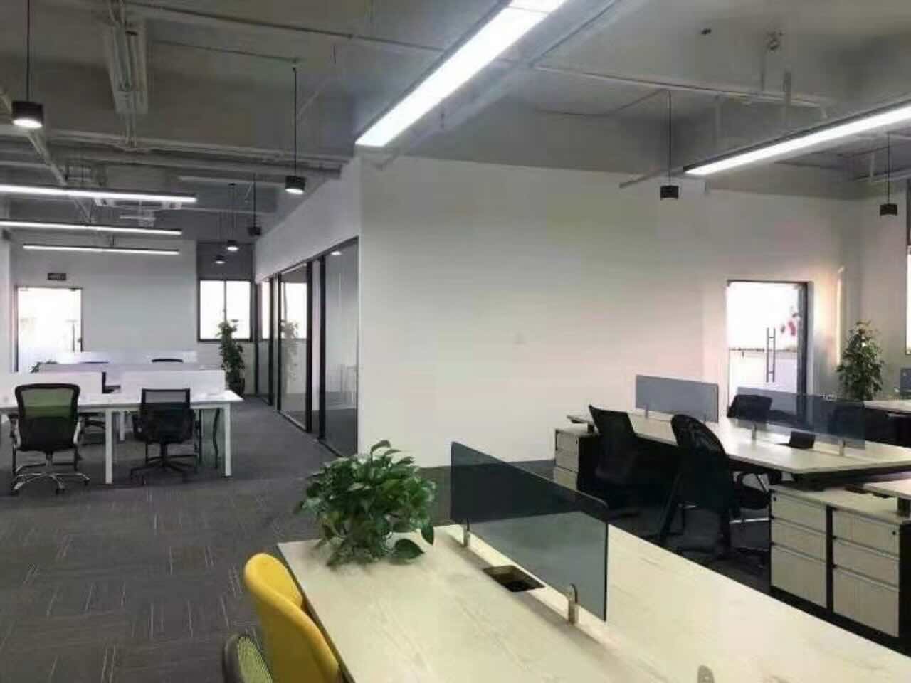 虹桥德必易园闵行 虹桥德必易园 290平米 精装修