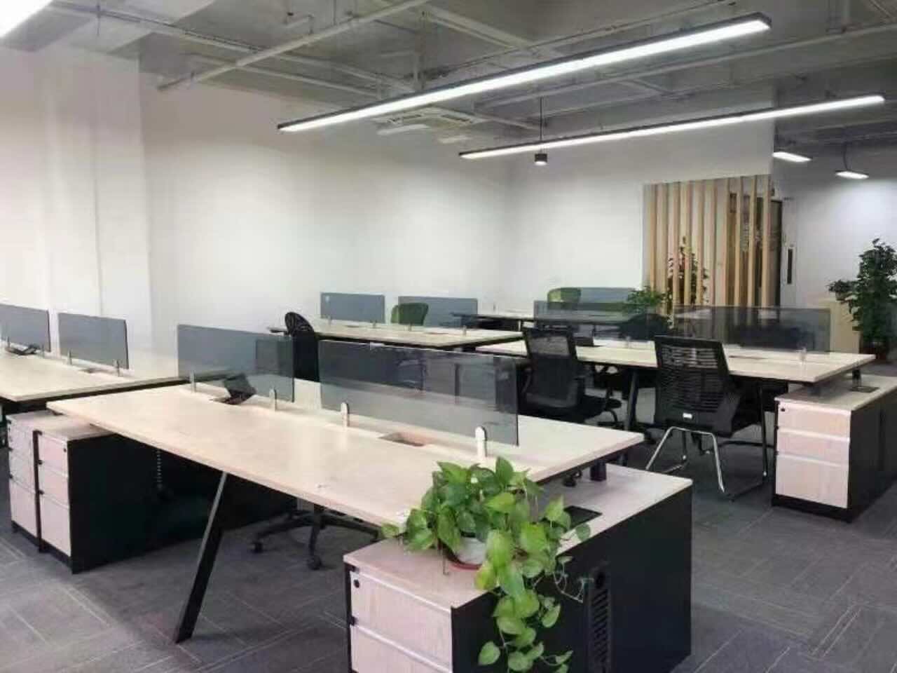虹桥德必易园闵行 虹桥德必易园 290平米 精装修