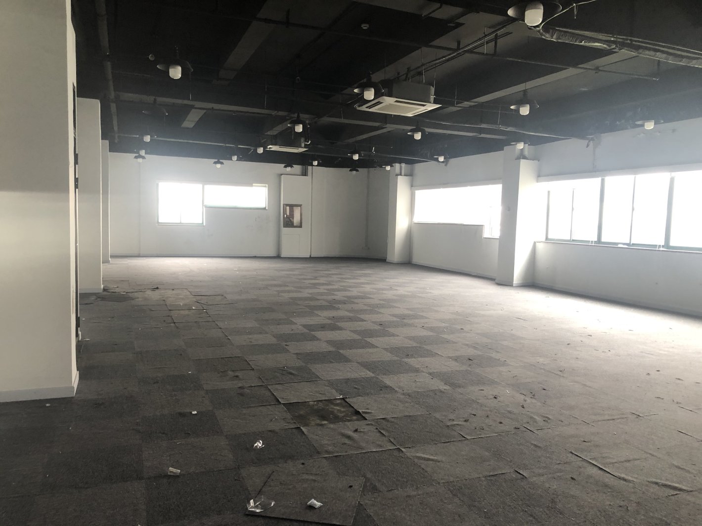 桂箐园徐汇 桂箐园 460平米 中等装修