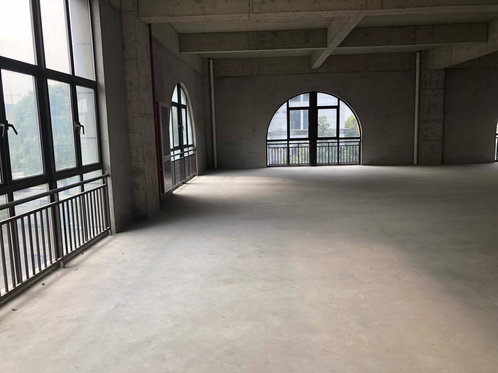 华盛科技园浦东 华盛科技园 550平米 简装修
